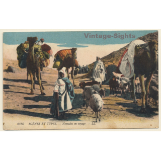 Morocco: Nomades En Voyage / Camels (Vintage PC 1920)