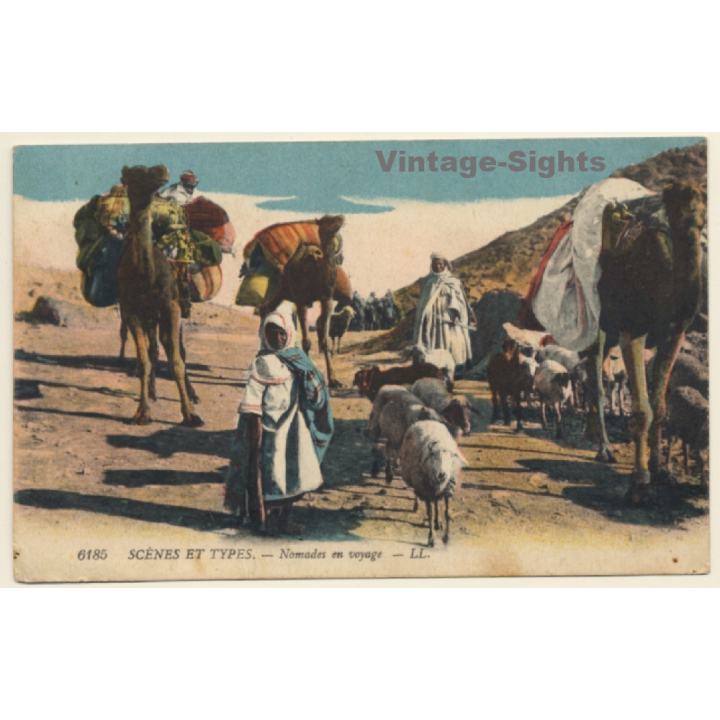 Morocco: Nomades En Voyage / Camels (Vintage PC 1920)