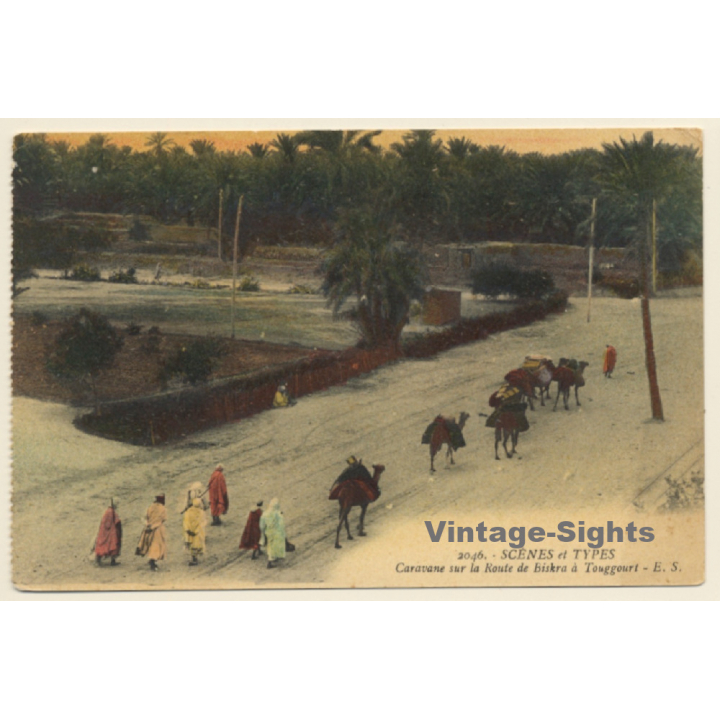 Algeria: Camel Caravan From Biskra to Touggourt (Vintage PC 1911)