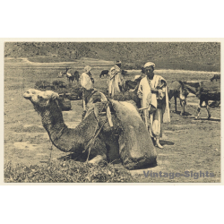 Marrakesh / Morroco: Dans le Bled - Camel Caravan (Vintage PC 1910s/1920s)