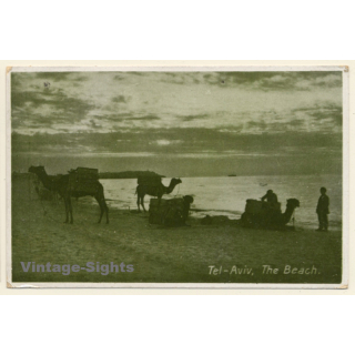 Tel-Aviv / Israel: Camels On Beach (Vintage RPPC 1920s/1930s)