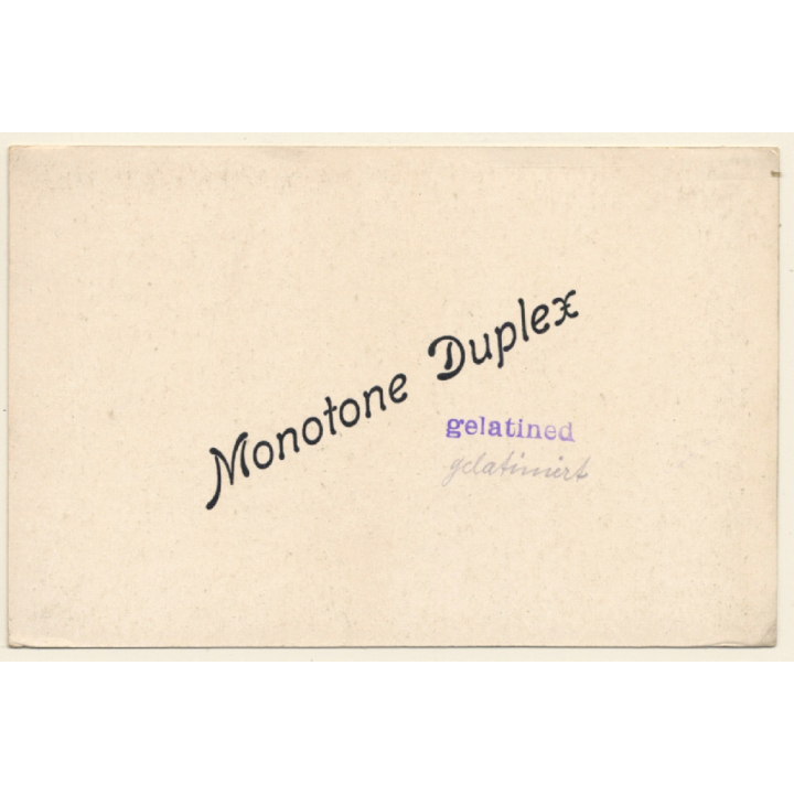 Tel-Aviv / Israel: Camels On Beach (Vintage RPPC 1920s/1930s)