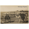 Alexandria / Egypt: Bay from Stanley to Ramleh / Camels (Vintage RPPC 1920s)