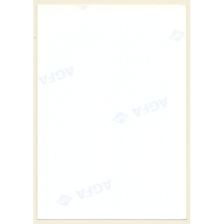 Erotic Study: Natural Busty Semi Nude Female*3 / Underwear (Vintage Photo ~1990s)