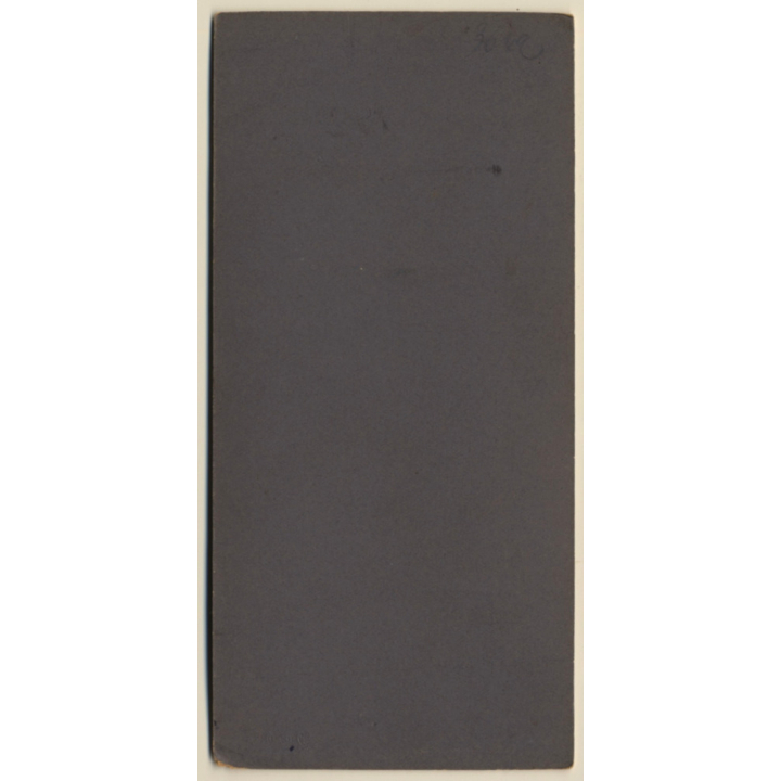 Hermann Lindenberg / Dresden: Elegant Lady in Victorian Outfit / Fur Muff (Vintage Cabinet Card ~1900s/1910s)