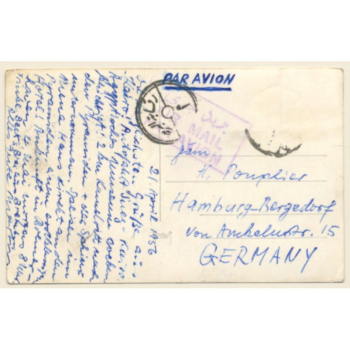 Cairo / Egypt: Prayer Near The Great Sphinx / Pyramids - Camel (Vintage RPPC 1956)