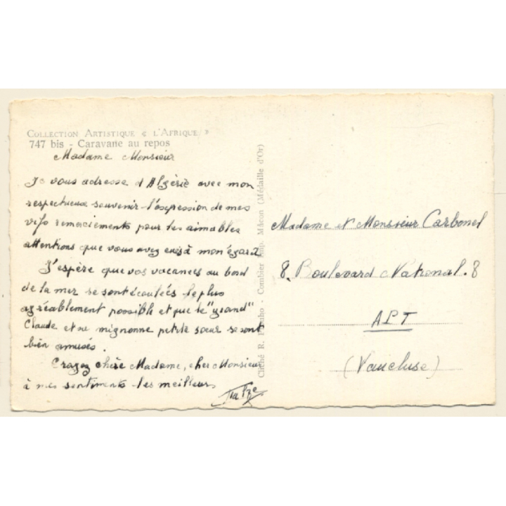 Algeria: Caravane Au Repos /  Camels - Nomads (Vintage RPPC 1920s/1930s)