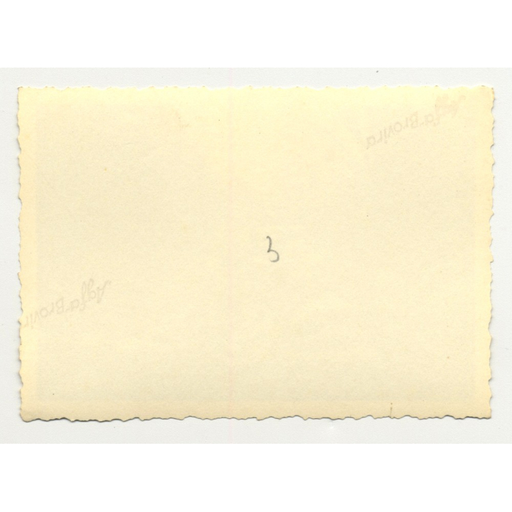 1936 Hudson Terraplane Stuck In Jungle / Natives  - Congo? (Vintage Photo B/W)