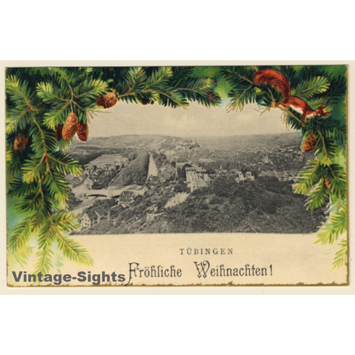 Tübingen / Germany: Panorama View / Squirrel (Vintage PC ~1910s)