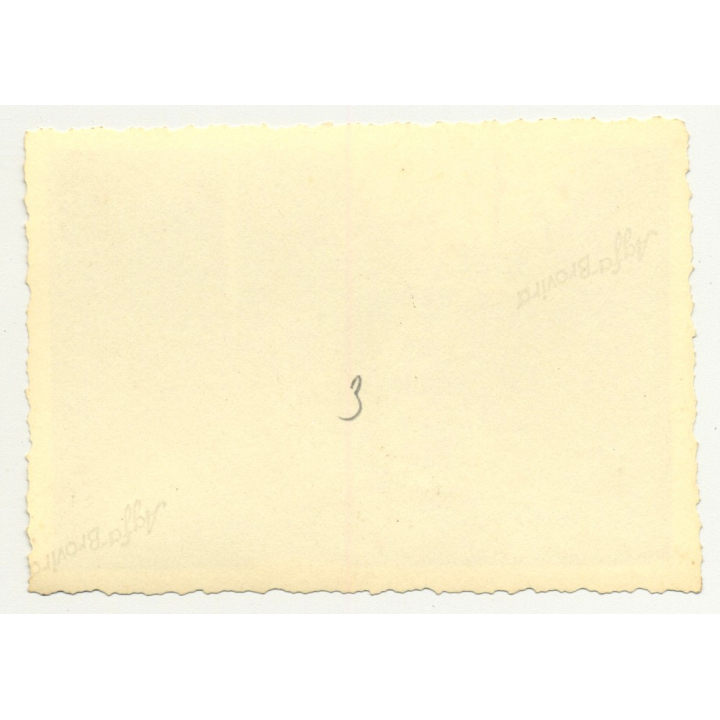 View Out Of Oldtimer On To Jungle Road & Fallen Tree  - Congo? (Vintage Photo B/W 30s/40s)