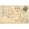 Herrenalb / Germany: Totalansicht vom Falkenstein (Vintage PC 1910)