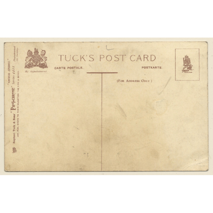 Horse Blacksmith Shoeing The Grey Mare (Vintage PC ~1910s/1920s)