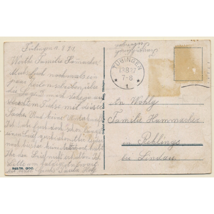 Tübingen am Neckar: Frauenklinik (Vintage PC 1927)