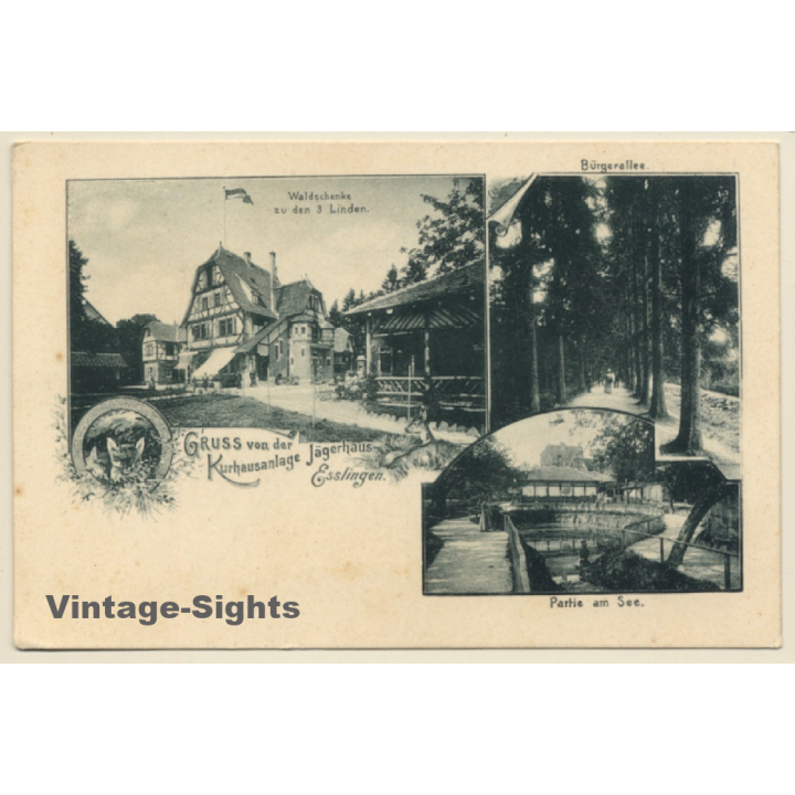 Esslingen am Neckar: Waldschenke zu den 3 Linden (Vintage PC 1900s)