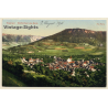 Deggingen / Baden-Württemberg: Panorama View - Wallfahrtsort (Vintage PC 1910)