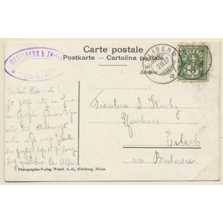 Uetliberg / Switzerland: Blick auf Zürichsee und Glarneralpen (Vintage PC 1907)