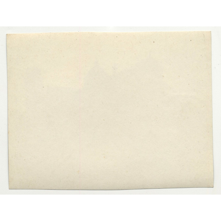 Leaning Tower Of Pisa & Cathedral / Italy (Vintage Photo / Gelatin Silver ~1920s)