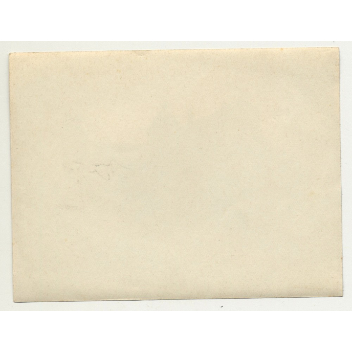 Leaning Tower Of Pisa & Cathedral / Italy 2 (Vintage Photo / Gelatin Silver ~1920s)