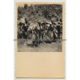 Congolese Women Carrying Bananas / Costermansville-Kamituga (Vintage Postcard NELS)