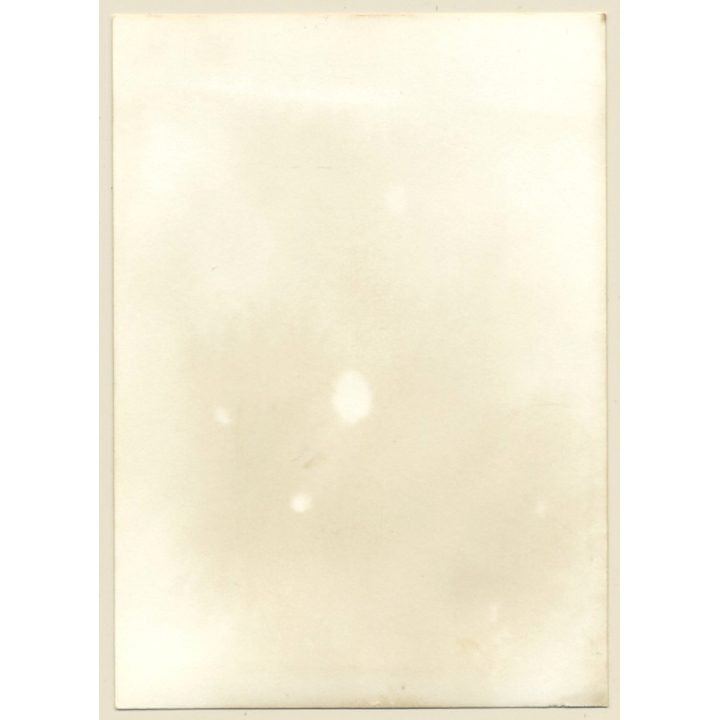 Erotic Study: Upper Body Of Topless Female In Forest (Vintage Photo GDR ~1980s)