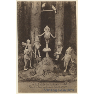 R. Paschold: Zwerge und Fee im Wald / Kobold (Vintage Artist PC ~1920s)