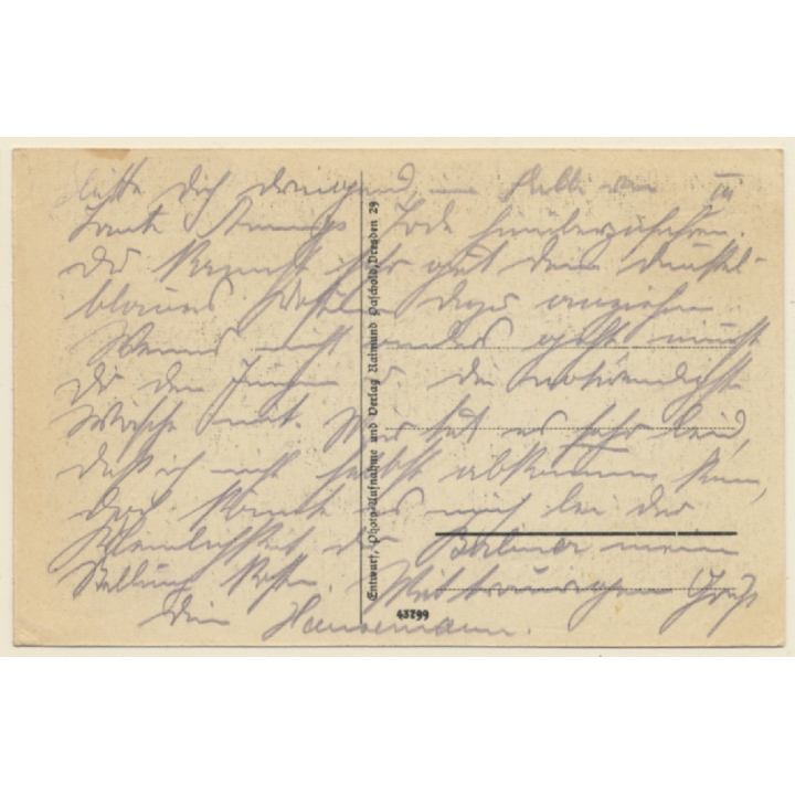 R. Paschold: Zwerge und Fee im Wald / Kobold (Vintage Artist PC ~1920s)