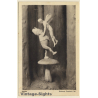 R. Paschold: Zwerg steht auf Pilz und hält Fee / Goblin (Vintage Artist PC ~1920s)