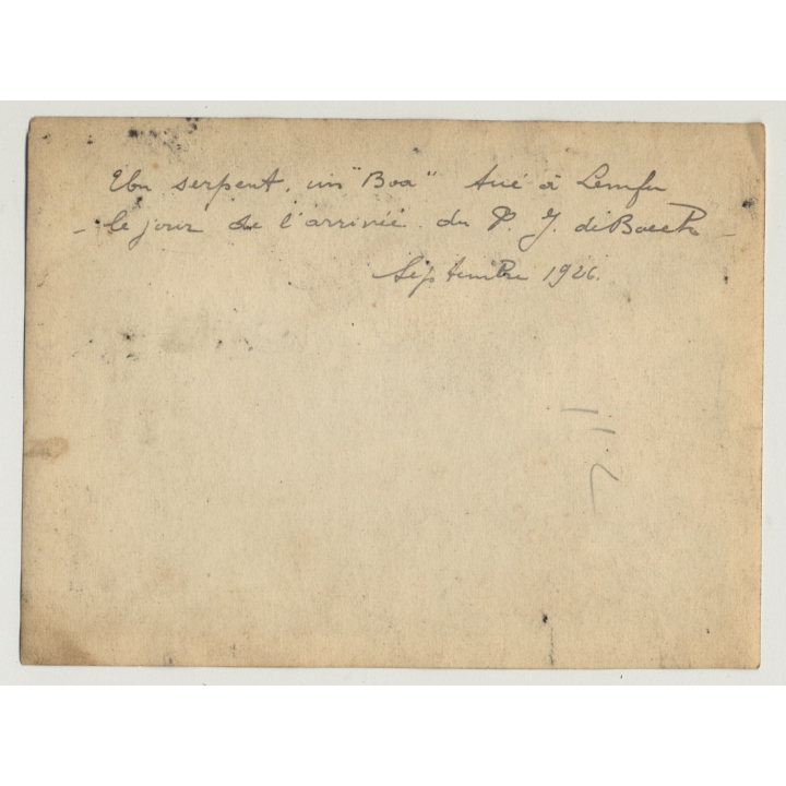 Missionary & Congolese Holding A Boa - Lemfu / Congo (Vintage Photo B/W 1926)