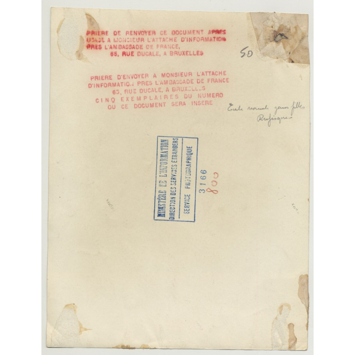 Great Shot Of 3 Young Senegalese Girls Doing Embroderie (Vintage Photo B/W ~1950s)