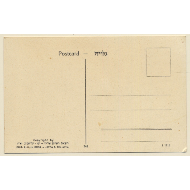 Jaffa - Tel Aviv / Israel: Old City On The Beach (Vintage PC ~1920s)