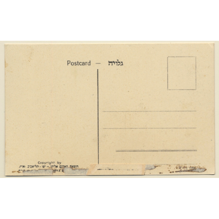 Jaffa - Tel Aviv / Israel: The Beach - Camels (Vintage PC ~1920s)