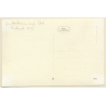 Rab / Croatia: Tree Heather in the Wind (Vintage RPPC 1937)