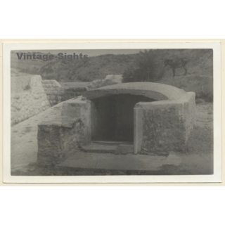 Rab / Croatia: Well Near Lopar (Vintage RPPC 1937)
