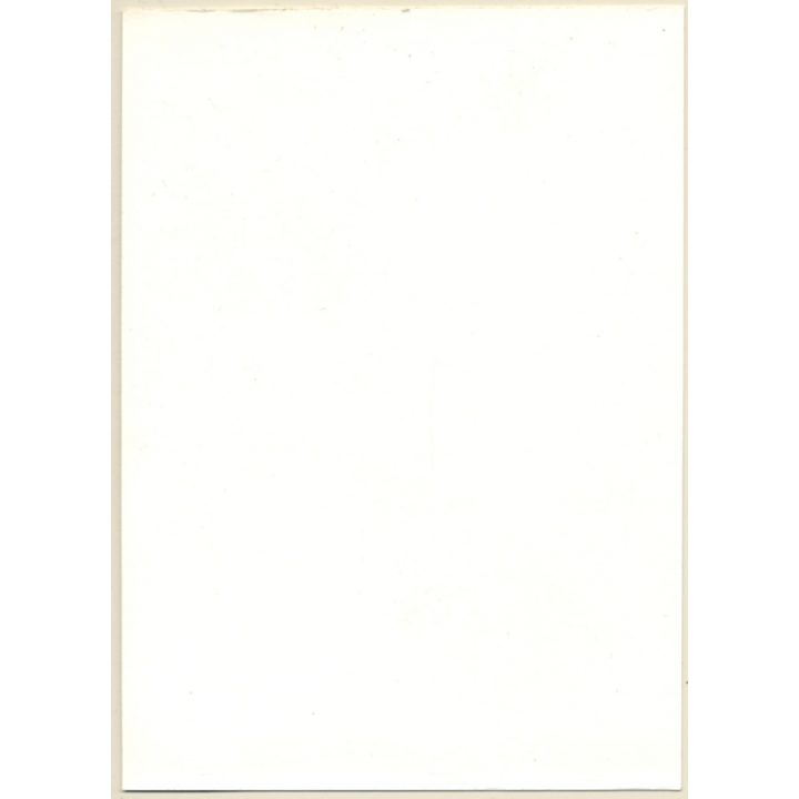 Erotic Study: Natural Shorthaired Nude Female With Silk Scarf (Vintage Photo GDR ~1980s)