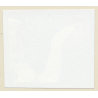 Erotic Study: Natural Slim Blonde Nude*13 / Butt - Tan Lines (Vintage Contact Sheet Photo 1970s/1980s)