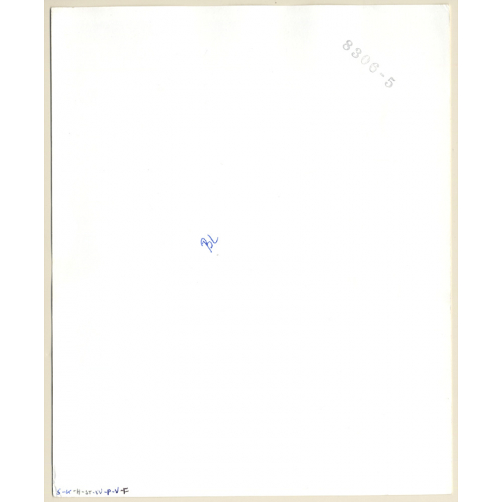 Erotic Study: Busty Blonde Semi Nude Kneeling On Flocati (Vintage Photo KORENJAK 1970s/1980s)