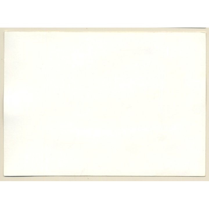 Erotic Study: Nude Female Rests In Hammock / Boobs (Vintage Photo GDR ~1980s)