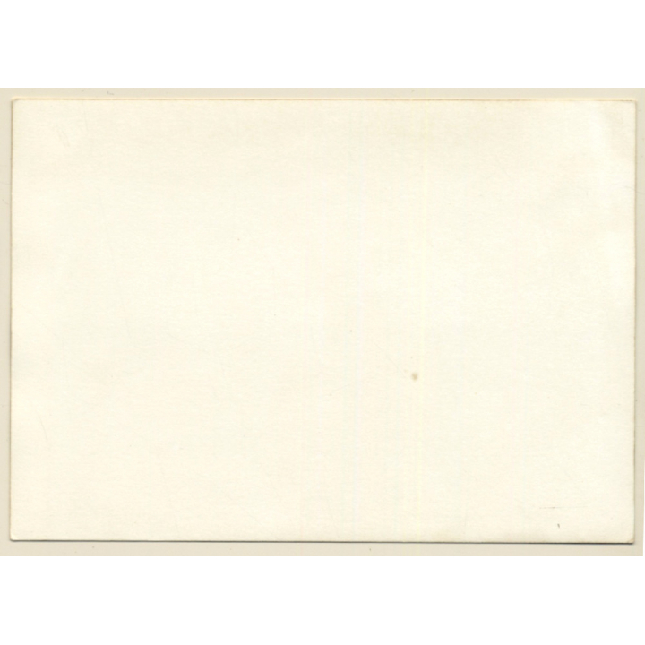 Erotic Study: Busty Nude Female Sunbathing On Meadow (Vintage Photo GDR ~1980s)