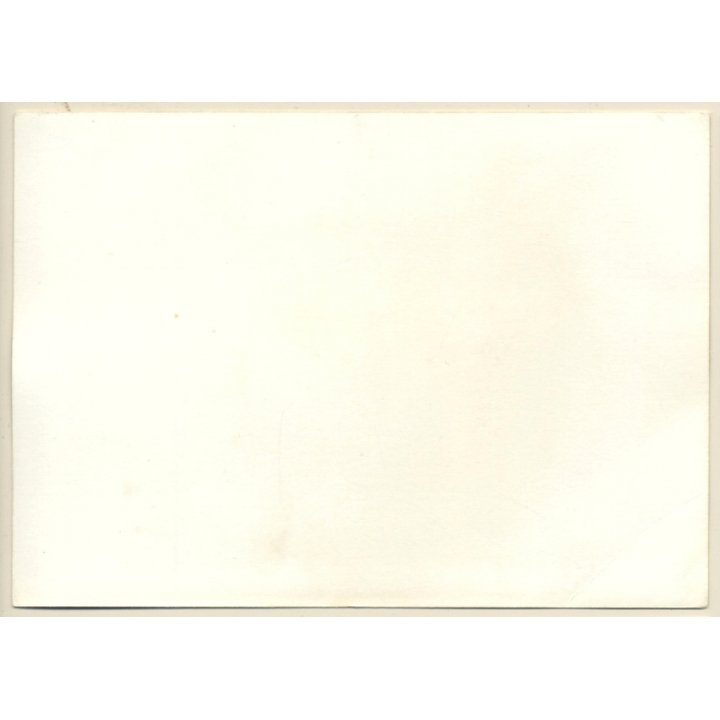 Erotic Study: Kneeling Nude Reads Magazine / Stuffed Animals (Vintage Photo GDR ~1980s)