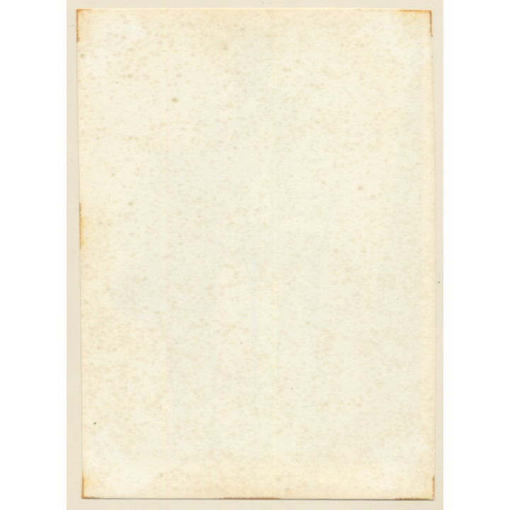 Erotic Study: Cheeky Brunette Undressing *4 / Bra (Vintage Photo ~1950s)