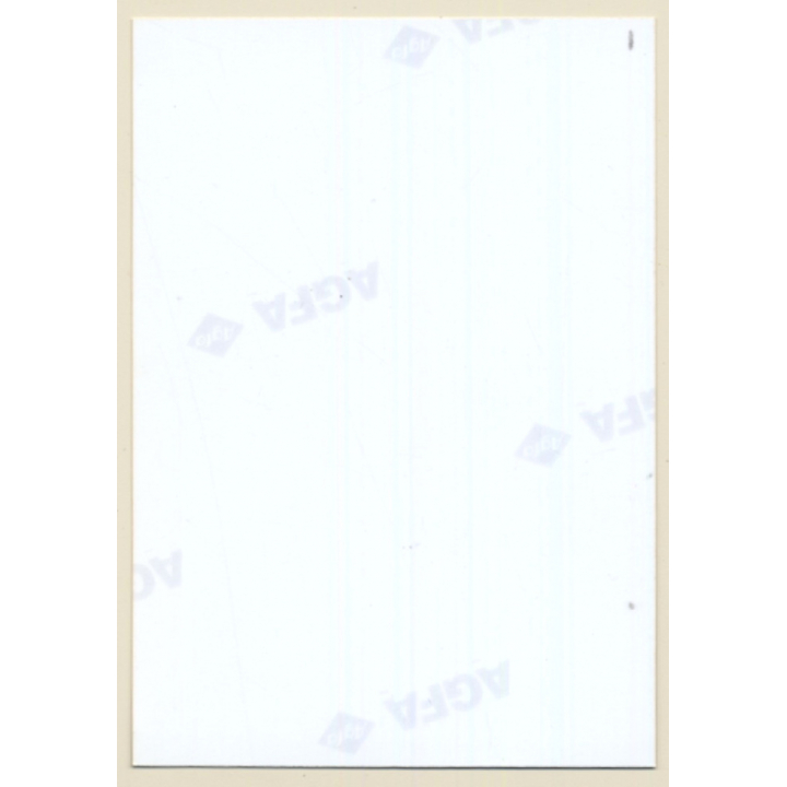 Erotic Study: Classy Shorthaired Nude Standing (Vintage Photo ~1990s)