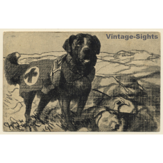 Rotes Kreuz: Bernhardiner Rettungshund (Vintage PC ~1910s)
