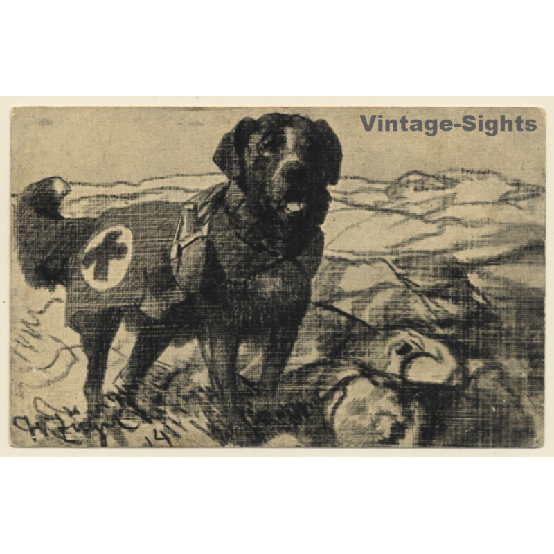 Rotes Kreuz: Bernhardiner Rettungshund (Vintage PC ~1910s)