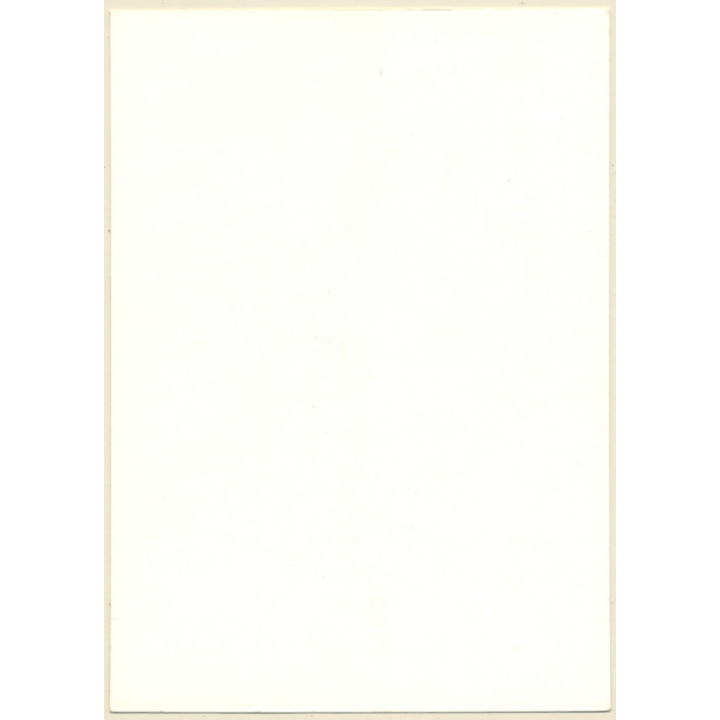 Erotic Study: Natural Chubby Nude With Silk Scarf (Vintage Photo GDR ~1980s)