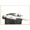 Erotic Study by H.Gross: Natural Nude On Dresser (Vintage Photo GDR ~1980s)