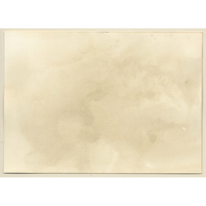 Erotic Study: Slim Natural Brunette Nude On Couch (Vintage Photo GDR ~1980s)