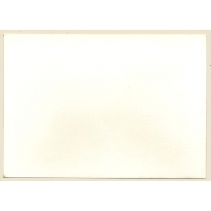 Erotic Study: Natural Blonde Nude Sitting On Floor / Suspenders (Vintage Photo GDR ~1980s)