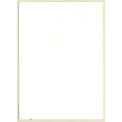 Erotic Study: Natural Topless Brunette / White Panties (Vintage Photo GDR ~1980s)