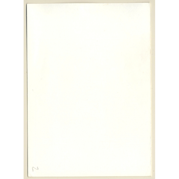 Erotic Study: Pensive Blonde Nude With Suspenders (Vintage Photo GDR ~1980s)