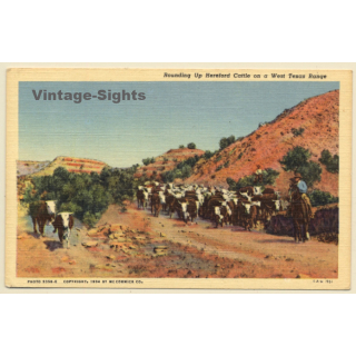 Wild West: Rounding Up Hereford Cattle / Cowboys (Vintage Linen PC ~1930s)